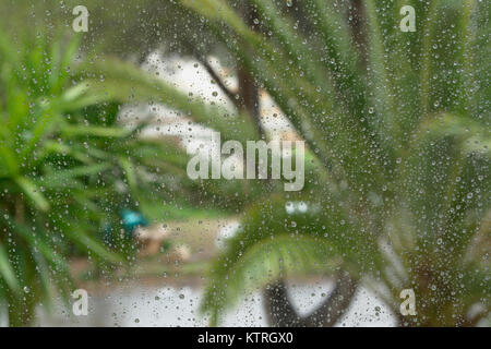 View through a window with raindrops on a wet street with palm leaves at a rainy summer day. Cala Murada, Mallorca, Spain. Stock Photo