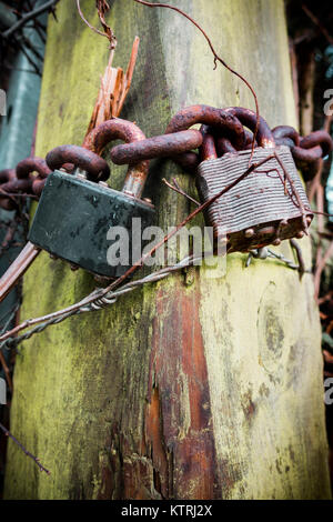two padlocks and a rusty chain on a wooden post Stock Photo