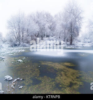 the forest on the shore of the freezing lake in the winter Stock Photo