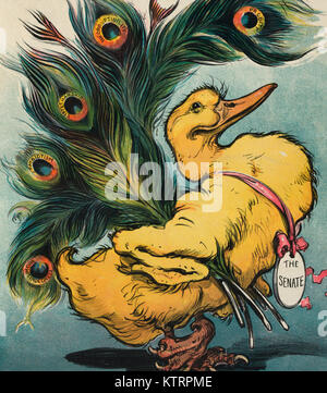 The ugly duckling - Illustration shows a duck with clawed-feet, wearing a medal labeled 'The Senate', carrying peacock feathers labeled 'Probity, Incorruptibility, Statesmanship, Patriotism, and Highmindedness'. Political Cartoon, 1906 Stock Photo