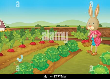 Bunny picking raddishes in the farm Stock Vector