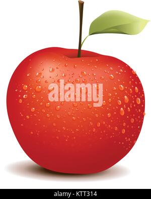 Illustration of photo-like red apple Stock Vector