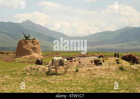 A ZPU-23 anti-aircraft gun and a BTR-60 armored personnel carrier rest near Khwahan, Badakhshan Province, Afghanistan, June 3, 2012. The weapon and carrier are remnants of the Soviet-Afghanistan War, 1979-1989. (37th IBCT photo by Sgt. Kimberly Lamb) (Released) Stock Photo