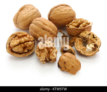 walnuts, kernel and shell isolated on white background Stock Photo