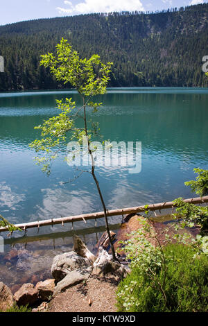 glacial Devil lake (Certovo jezero), Sumava mountains, South Bohemian Region, Czech Republic Stock Photo