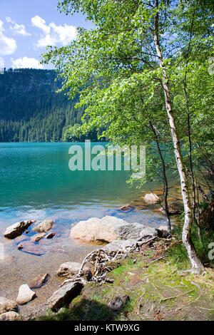 glacial Devil lake (Certovo jezero), Sumava mountains, South Bohemian Region, Czech Republic Stock Photo