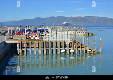 Kaikoura, New Zealand - December 15, 2017: Whale Watch Kaikoura New Zealand boats are once again in business after 12 months cleanup following dramati Stock Photo