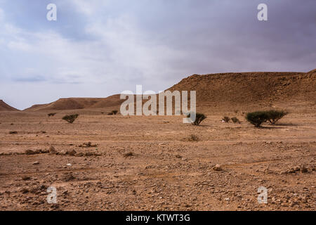 A desert landscape south-east of Riyadh, Saudi Arabia Stock Photo - Alamy