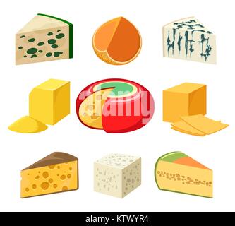 Cheese types and slices Stock Vector