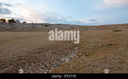 Sunset over Teacup Canyon as seen from Tillett Ridge in the Pryor Mountains on the Wyoming Montana state line - United States Stock Photo