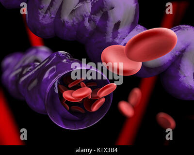 Varicose veins close up. Human legs on a black background, 3d Illustration Stock Photo