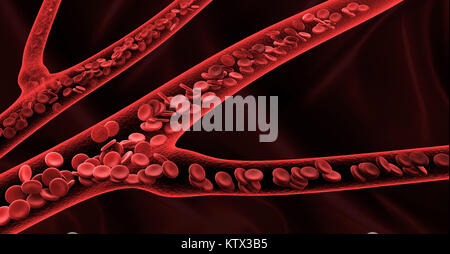 3d rendering red blood cells flow in vein Stock Photo - Alamy