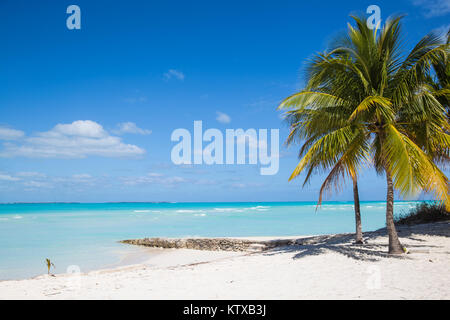 Beach at Treasure Cay, Great Abaco, Abaco Islands, Bahamas, West Indies, Central America Stock Photo