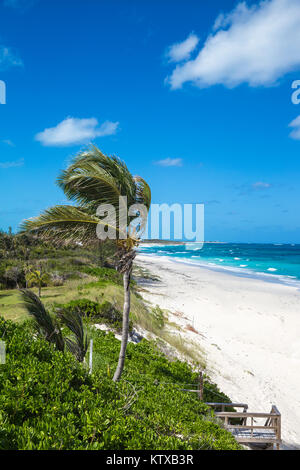 Beach near Nippers Bar, Great Guana Cay, Abaco Islands, Bahamas, West Indies, Central America Stock Photo