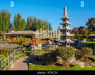 Japanese Garden, La Serena, Coquimbo Region, Chile, South America Stock Photo