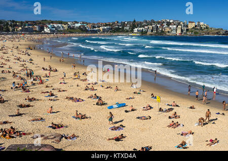 A packed Bondi Beach on a summer's day, Sydney, New South Wales, Australia, Pacific Stock Photo