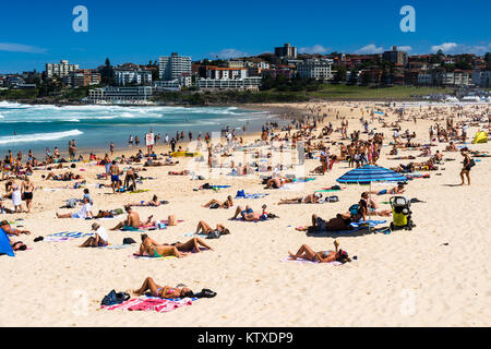 A packed Bondi Beach on a summer's day, Sydney, New South Wales, Australia, Pacific Stock Photo