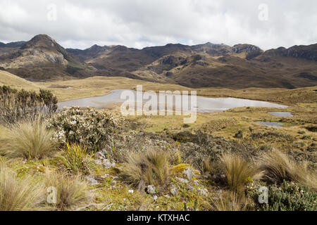 Ecuador landscapes - El Cajas National Park, ( Parque Nacional Cajas ), Cuenca, Equador South America Stock Photo