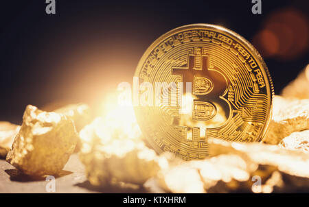 Digital Gold Tulip Bitcoin - bitcon bubble concept image Stock Photo