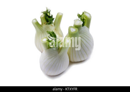 Fennel bulbs on white background Stock Photo
