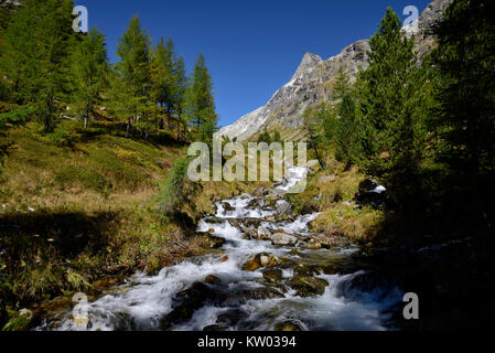 Osttirol Hohe Tauern, Dorfer valley with sea brook or Kalser Bach, Dorfer Tal mit Seebach bzw Kalser Bach Stock Photo