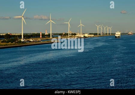 Harbour of Rotterdam, wind strength arrangements in the Rotterdam harbour, Hafen Rotterdam, Windkraftanlagen im Rotterdamer Hafen Stock Photo