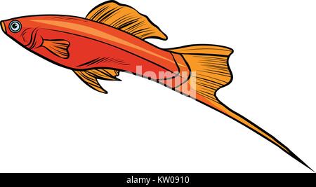 Isolated swordtail aquarium fish Stock Vector