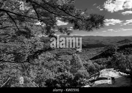 A summer vista view from the Look Rock area of Foothills Parkway West in Great Smoky Mountains National Park, Tenneseee, USA Stock Photo