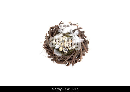 Quail eggs in a nest with feather isolated Stock Photo