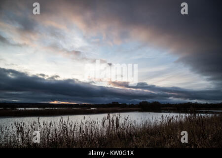 Evening light over Shapwick Heath National Nature Reserve in Somerset, UK. Stock Photo