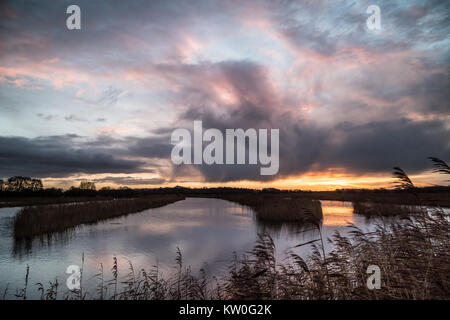 Evening light over Shapwick Heath National Nature Reserve in Somerset, UK. Stock Photo