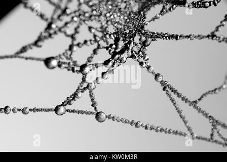 Frozen spider's web, Bury, England.