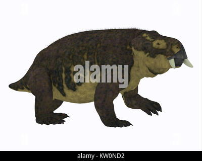 Placerias Dinosaur Side Profile - Placerias was a herbivorous dicynodont dinosaur that lived in Arizona, USA in the Triassic Period. Stock Photo