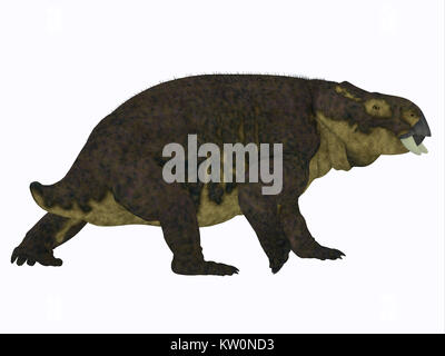 Placerias Dinosaur Tail - Placerias was a herbivorous dicynodont dinosaur that lived in Arizona, USA in the Triassic Period. Stock Photo