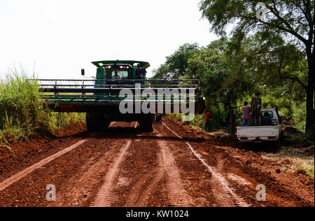 ETHIOPIA, Gambela, Abobo, the government give large land for cheap lease to domestic and foreign investors, after deforestation the investors cultivate large farm lands with food crop for export, local people are often settled under villagization programs, John Deere combine harvester of Saudi Star Agricultural Development PLC is shifted on narrow road for the rice harvest , Saudi Star owned by Saudi-Ethiopian billionaire Sheikh Mohamed al-Amoudi has a rice farm of about 10.000 hectares along the Alwero river / AETHIOPIEN, Gambela, Abobo, die aethiopische Regierung verpachtet grosse Landflaech Stock Photo