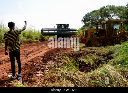 ETHIOPIA, Gambela, Abobo, the government give large land for cheap lease to domestic and foreign investors, after deforestation the investors cultivate large farm lands with food crop for export, local people are often settled under villagization programs, John Deere combine harvester of Saudi Star Agricultural Development PLC is shifted on narrow road for the rice harvest , Saudi Star owned by Saudi-Ethiopian billionaire Sheikh Mohamed al-Amoudi has a rice farm of about 10.000 hectares along the Alwero river / AETHIOPIEN, Gambela, Abobo, die aethiopische Regierung verpachtet grosse Landflaech Stock Photo