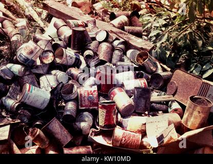 Domestic mosquitoes can breed in tin cans in open dumps. Domestic species are those that breed close to human habitation. Tin cans in open dumps containing water may also contain larvae of any of the three domestic species including Culex quinquefasciatus, Culex pipiens, and Aedes aegypti . Image courtesy CDC/Graham Heid, Dr. Harry D. Pratt. 1975. Stock Photo