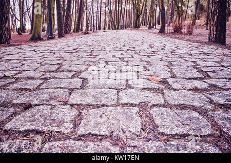 Cobblestone path in a park, close up color toned picture, shallow depth of field. Stock Photo