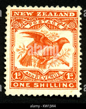1907 New Zealand one shilling pictorial stamp featuring a kea and a kaka Stock Photo