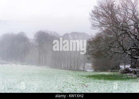 Netherthong, West Yorkshire, UK. 29th December, 2017. Heavy snowfall Netherthong, Holmfirth, West Yorkshire, England. 29th December 2017. Carl Dickinson Alamy Live News. Stock Photo