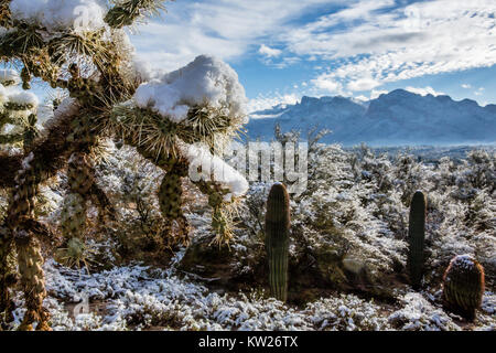 A rare Winter snow drapes the Sonoran Desert near Tucson, Arizona. Stock Photo