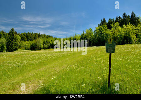 Osterzgebirge, the Erzgebirge, nature reserve Gimmlitztalwiesen, Erzgebirge, Naturschutzgebiet Gimmlitztalwiesen Stock Photo