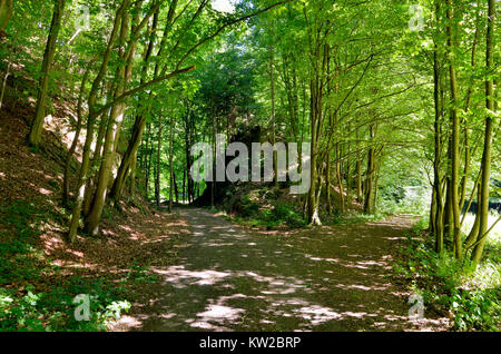 Elbsandsteingebirge, Saxon Switzerland, former small section in the black brook valley, Sächsische Schweiz, ehemalige Kleinbahnstrecke im Schwarzbacht Stock Photo