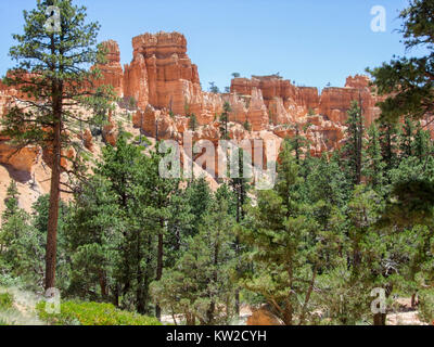 rocky scenery with hoodoos and trees at the Bryce Canyon National Park located in Utah in USA Stock Photo