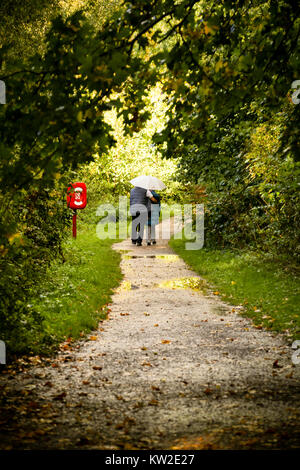 A couple share an umbrella as they walk in woodlands during a rain shower Stock Photo