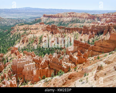 rocky scenery with hoodoos and trees at the Bryce Canyon National Park located in Utah in USA Stock Photo