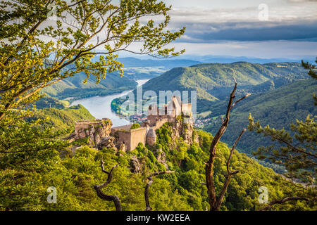 Classic aerial view of historic Aggstein castle ruin with famous Danube river in the background in evening light at sunset in summer, Wachau Valley Stock Photo