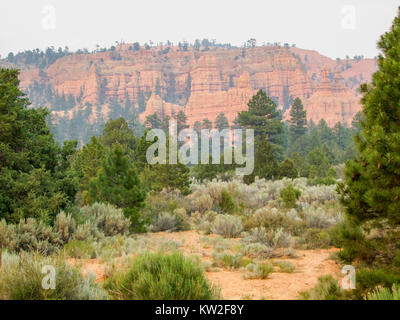 rocky scenery with hoodoos and trees at the Bryce Canyon National Park located in Utah in USA Stock Photo