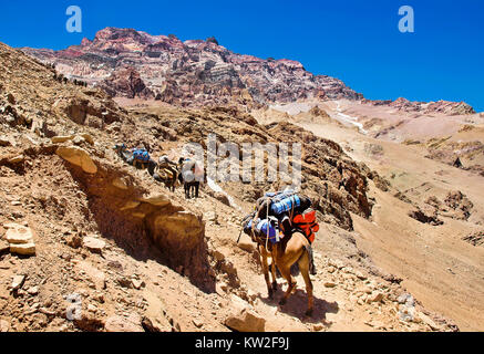 Beautiful view of a group of hikers trekking in the Andes, Argentina, South America Stock Photo