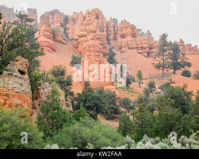 rocky scenery with hoodoos and trees at the Bryce Canyon National Park located in Utah in USA Stock Photo